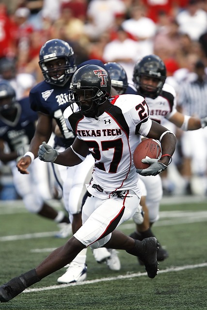 牌生态模式 牌生态模式