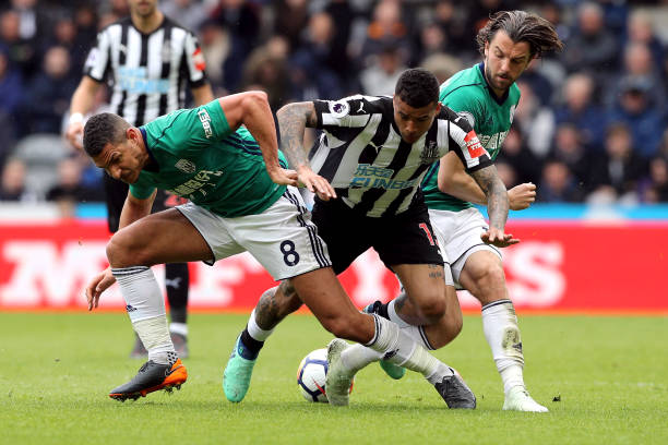 回放和统计 回放和统计